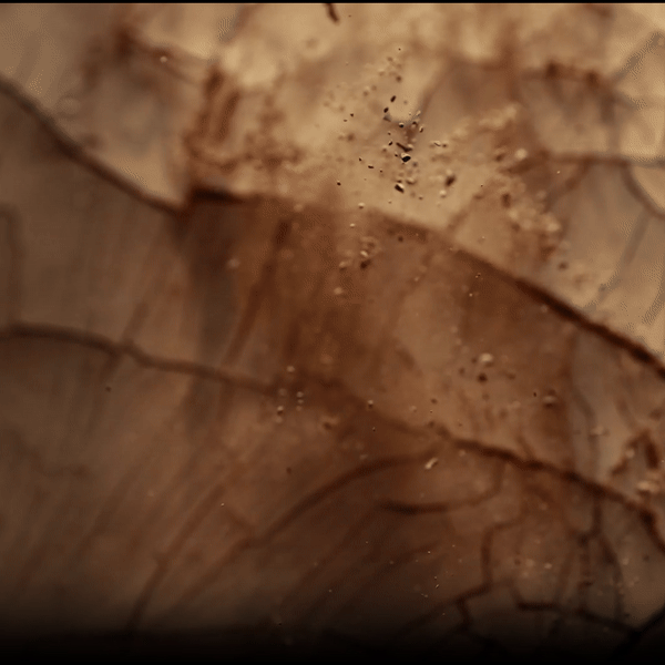 MADERA TABACO